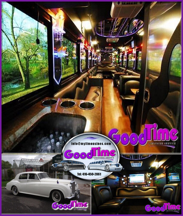 Party Bus Limousines Rental Service FLESHERTON ONTARIO PARTY BUSES